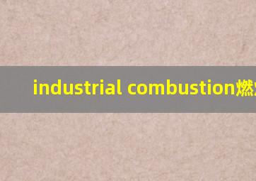 industrial combustion燃烧器